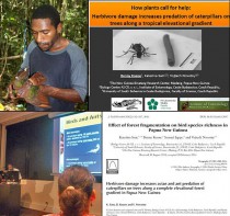 Paraecologist Bonny Koane in the field, presenting at the Association for Tropical Biology Conference, and co-authoring research papers