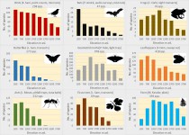 Elevation trends in species diversity for selected taxa at Mt. Wilhelm