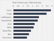 Ratio between the total number of species along Mt. Wilhelm transect and the highest number of species at one elevation (an indication of how much elevation contributes to overall diversity)