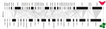 Plant-caterpillar food web from 200 m asl. (bottom: Ficus spp, top: Lepidoptera spp.)