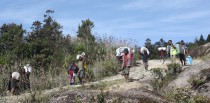 Porters with cargo on their way between two camps