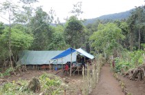 Numba, the main camp at the Mt. Wilhelm transect