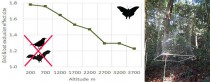 Yes Density of insects (relative to control) after one year of bird and bat exclusion, using a net: increased to 180% of original values in the lowlands and 120% at the timber line.