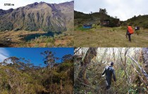 Forest at Piude-Yaunde Lakes, 3700 m asl. station