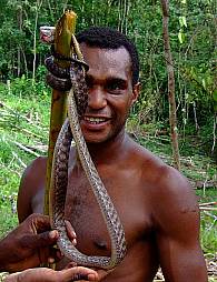 papua-new-guinea-languages-05