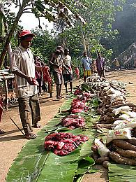 papua-new-guinea-languages-15