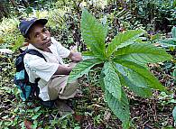 papua-new-guinea-languages-26