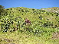 papua-new-guinea-languages-32