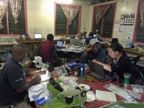 Night in the Swire station laboratory, with students working on their research projects.