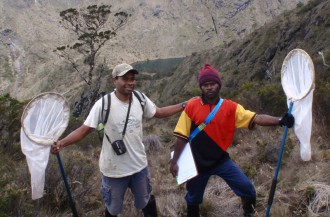 Sampling high altitude butterfly communities (with his mentor, Legi Sam, left).