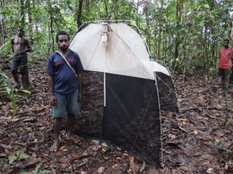 Monitoring flying insects using a Malaise trap in Wanang forest.