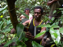 Botanical team mapping trees in the Wanang Forest Dynamic Plot.