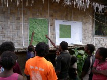 School children appear to be interested in the forest dynamics plot.