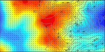 Topography of the 50 ha plot.