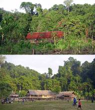 Before and now: First steps in building BRC field camp in Wanang, and its current situation.
