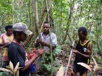 Team of paraecologists tagging all stems above 1 cm in diameter.