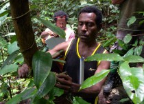 Paraecologists John Auga and Kenneth Molem in action.