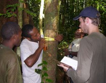 Surveying plant plots.