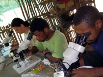 Looking at insects in Wanang bush lab.