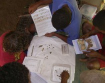 Sorting moths into hundreds of species.